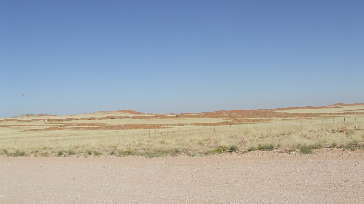 Namibia: auf der C14 nördlich von Solitaire